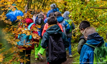 children on a school trip in a park